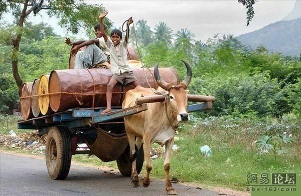 Daily picdump (115 pics)