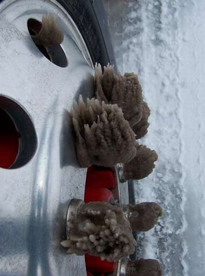 Daily picdump (115 pics)