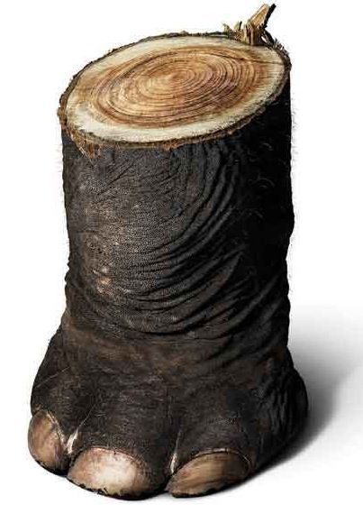 Daily picdump (120 pics)