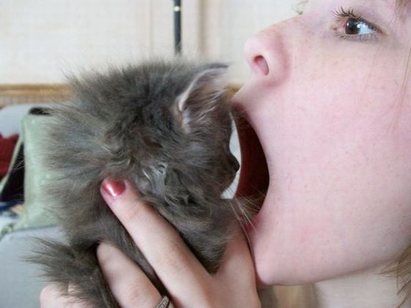 Daily picdump (120 pics)