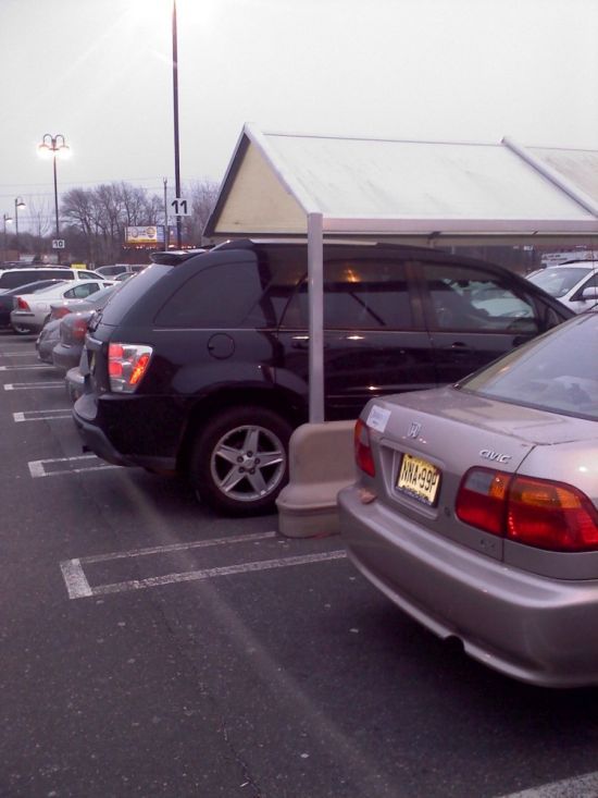 Daily picdump (120 pics)