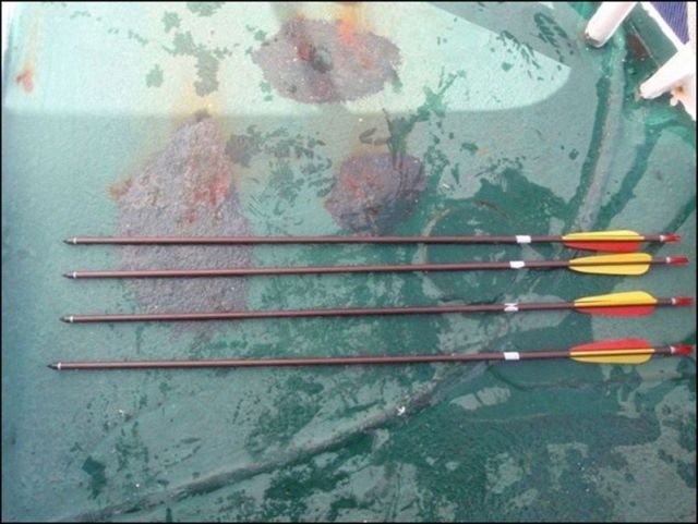 Trimaran Ady Gil Goes Down (15 pics + 2 videos)