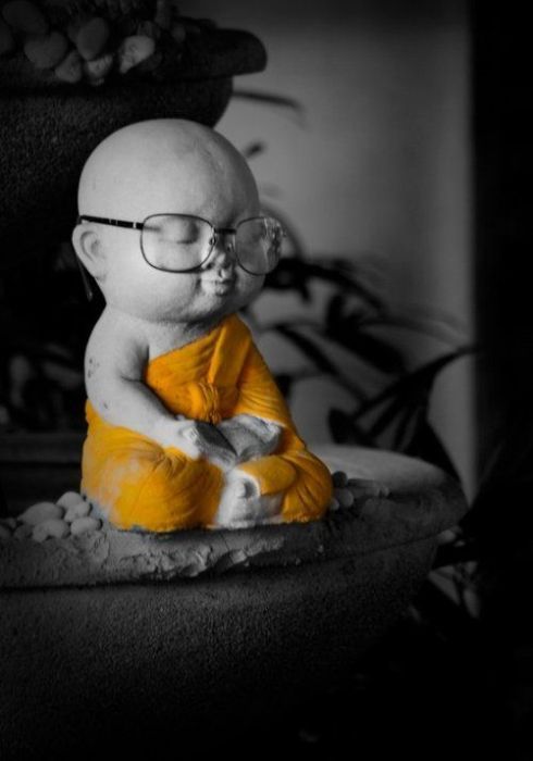 Daily picdump (108 pics)