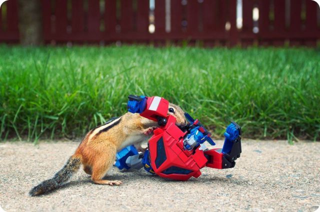 Daily picdump (108 pics)