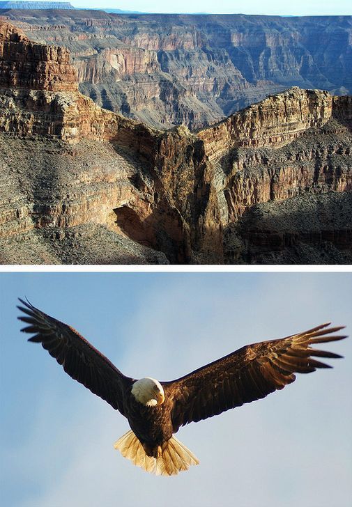 Daily picdump (108 pics)