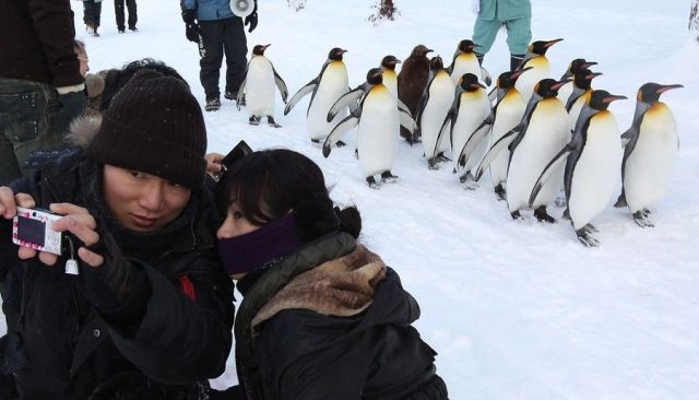 Daily picdump (120 pics)