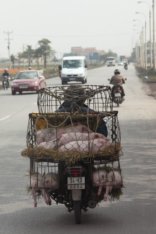 Daily picdump (120 pics)