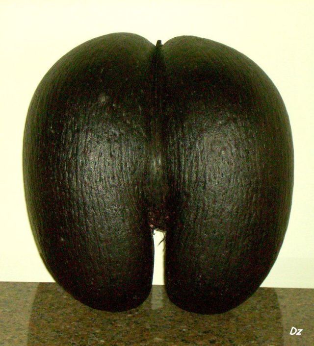 Daily picdump (120 pics)