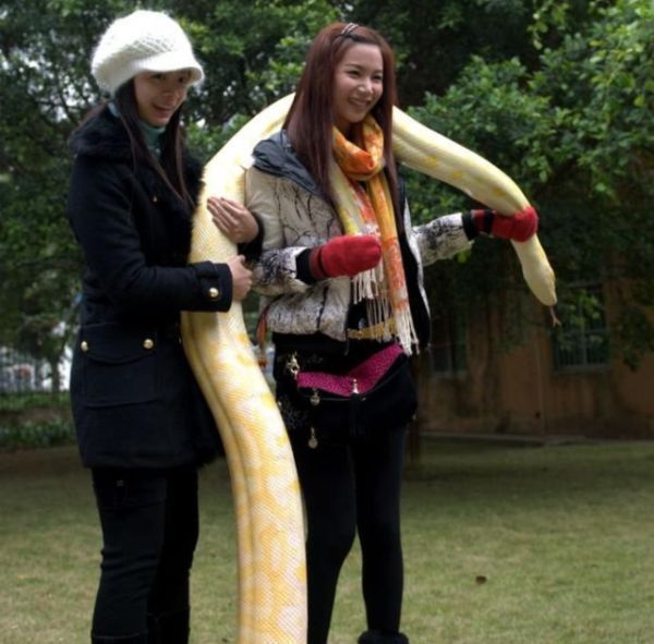 Daily picdump (120 pics)