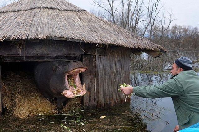 Daily picdump (120 pics)