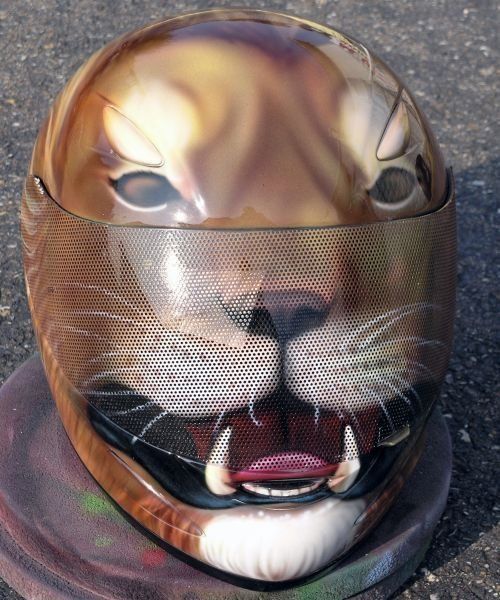 Daily picdump (173 pics)