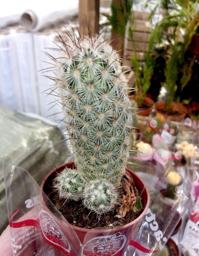 Daily picdump (159 pics)