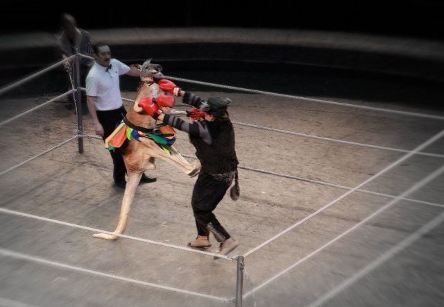 Daily picdump (159 pics)