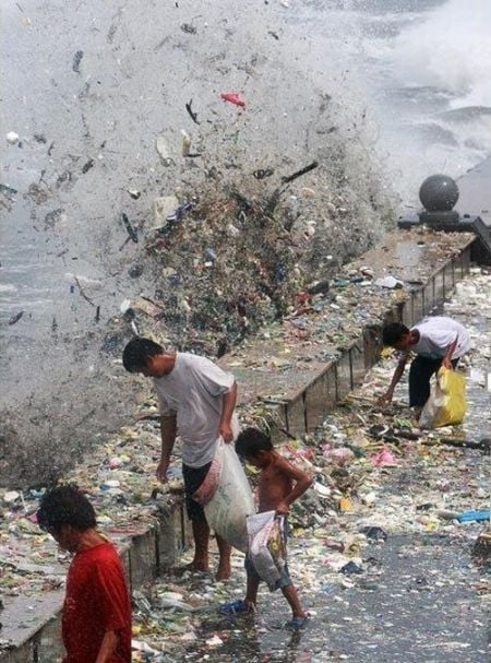 Daily picdump (159 pics)