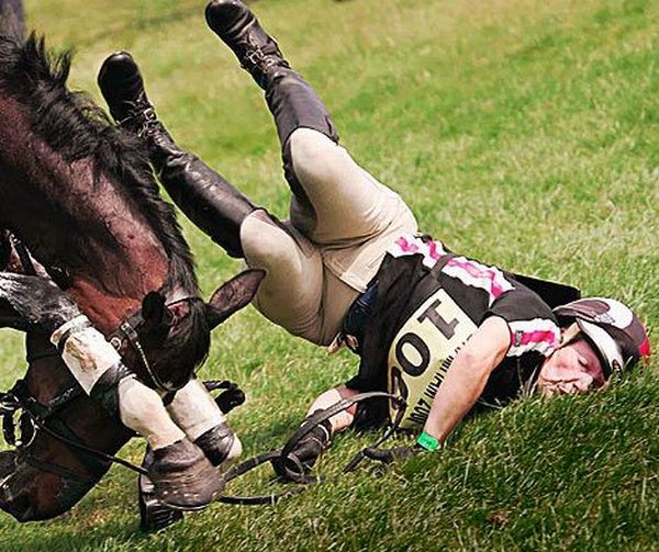 Daily picdump (146 pics)