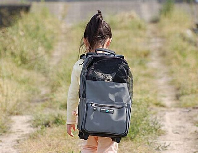 Daily picdump (120 pics)