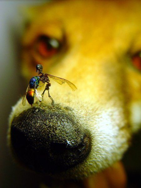 Daily picdump (120 pics)