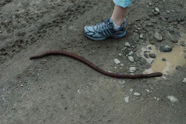 Daily picdump (151 pics)