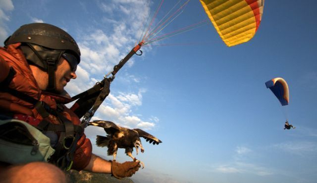 Daily picdump (151 pics)