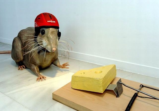 Daily picdump (151 pics)