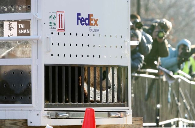 Daily picdump (151 pics)