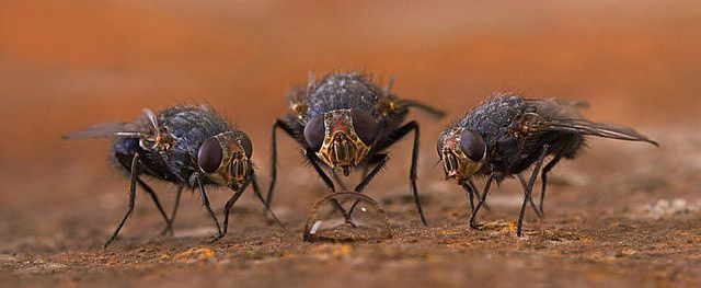 Daily picdump (151 pics)