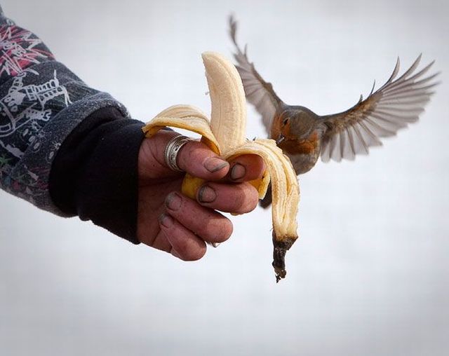 Daily picdump (151 pics)