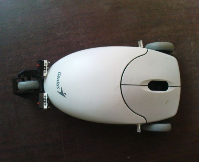 Daily picdump (151 pics)