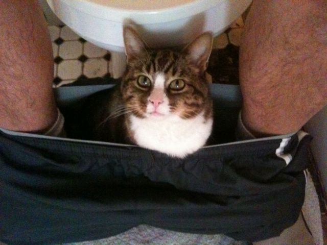 Daily picdump (151 pics)