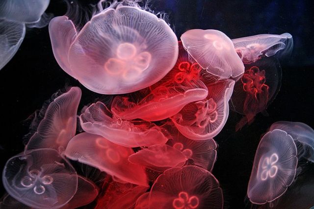 Daily picdump (151 pics)