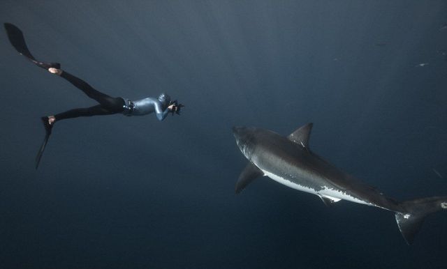 Daily picdump (151 pics)