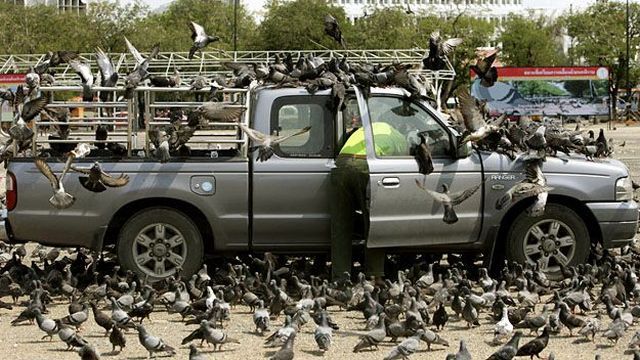 Daily picdump (151 pics)