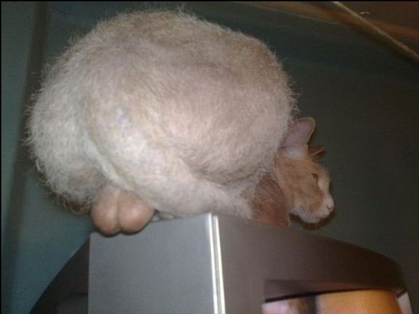 Daily picdump (151 pics)