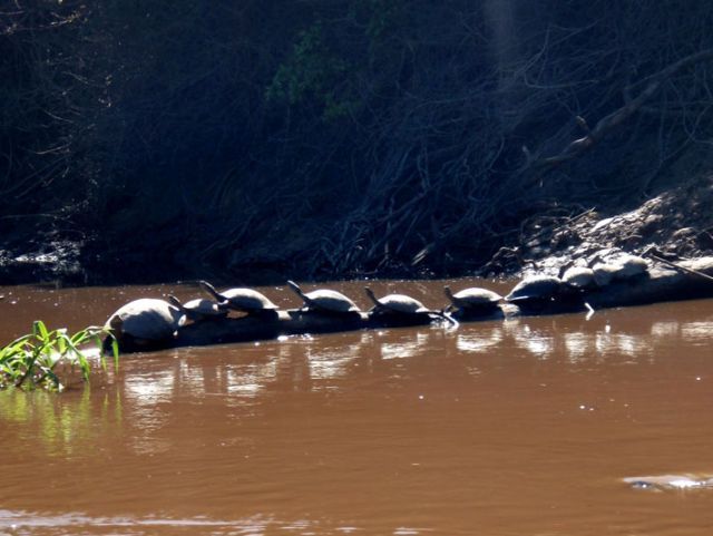 Daily picdump (133 pics)