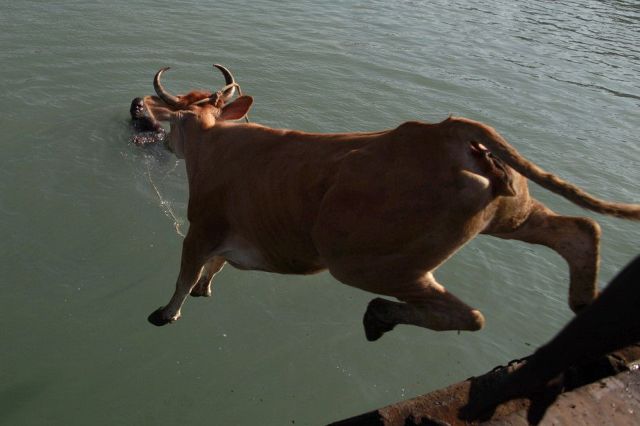 Daily picdump (133 pics)