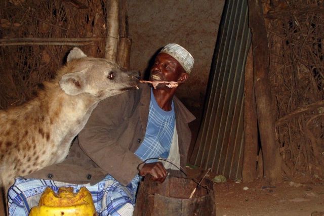 Daily picdump (133 pics)