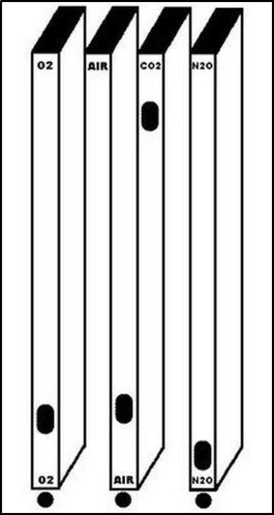 Daily picdump (133 pics)