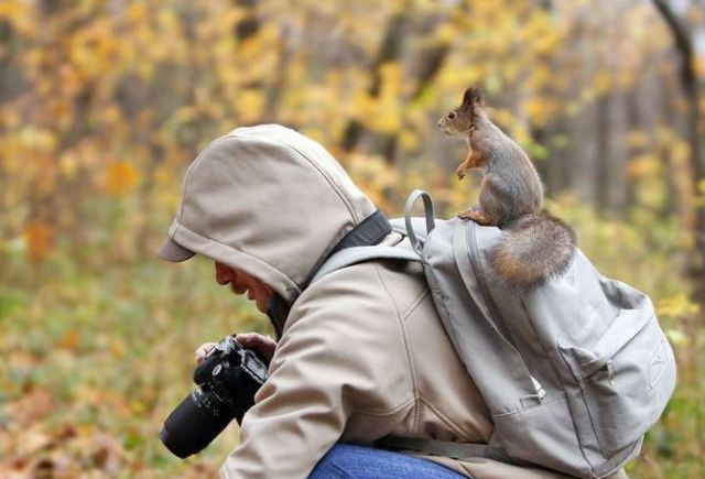 Daily picdump (133 pics)