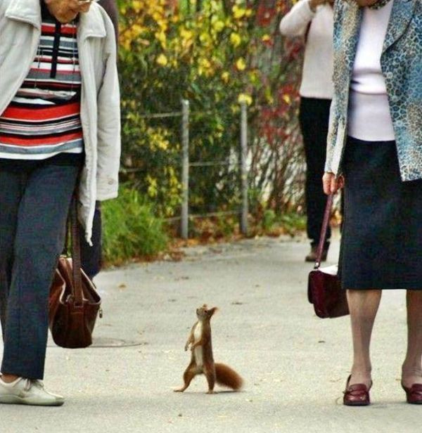 Daily picdump (133 pics)