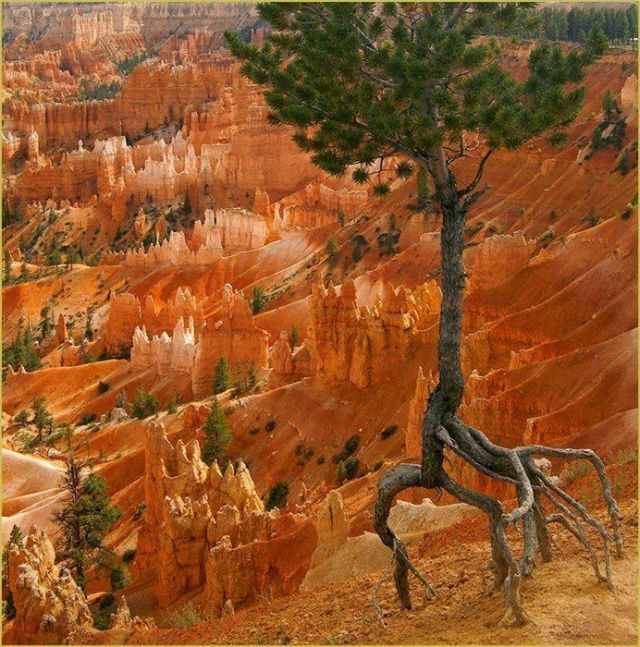 Daily picdump (133 pics)