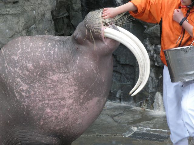 Daily picdump (133 pics)