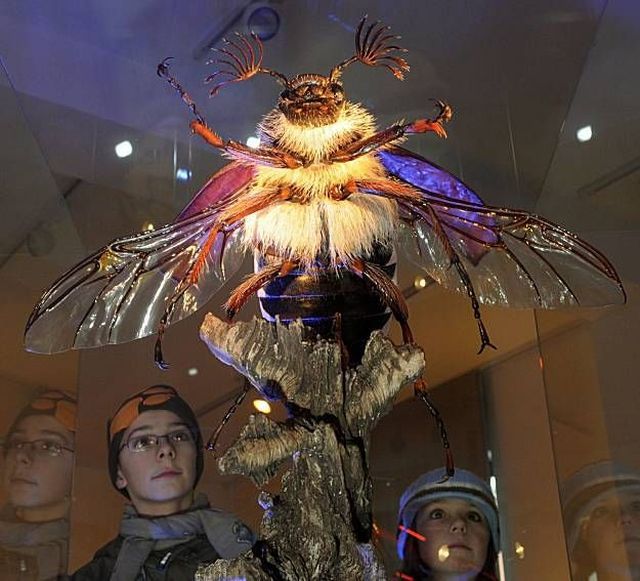 Daily picdump (133 pics)