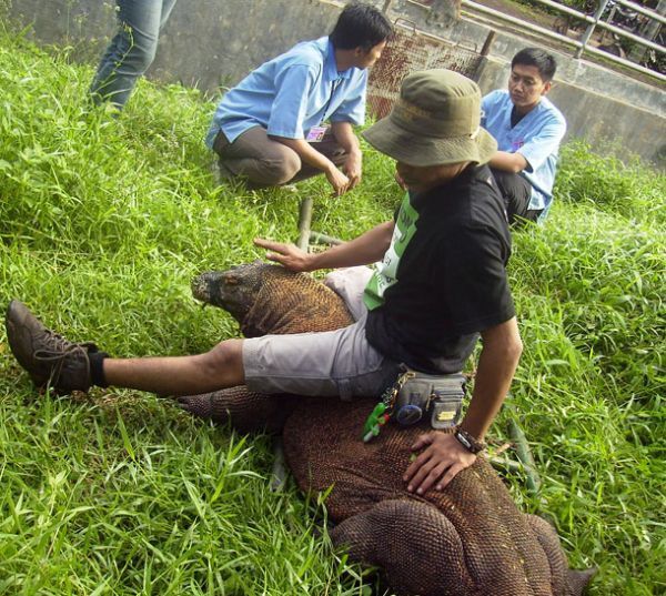 Daily picdump (133 pics)