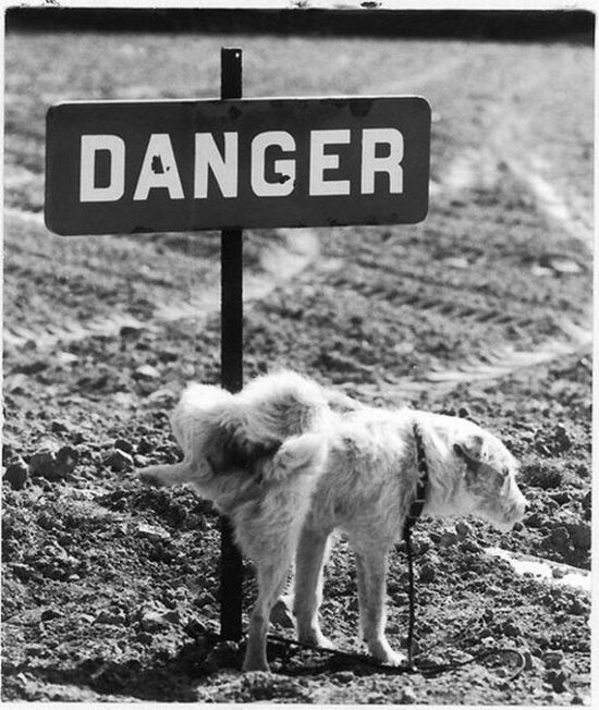 Daily picdump (92 pics)