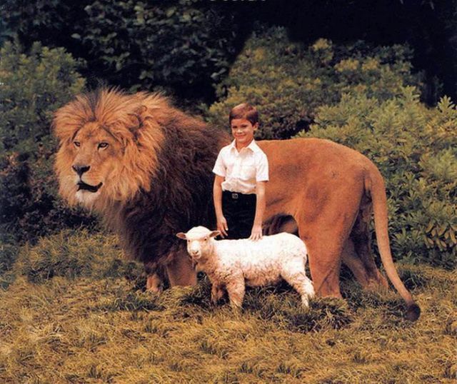 Daily picdump (92 pics)