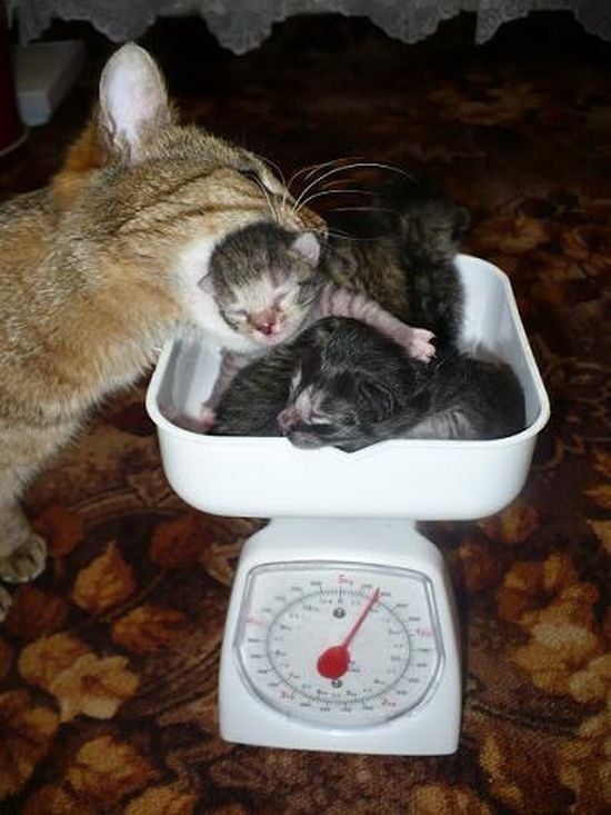 Daily picdump (92 pics)