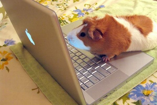 Daily picdump (92 pics)