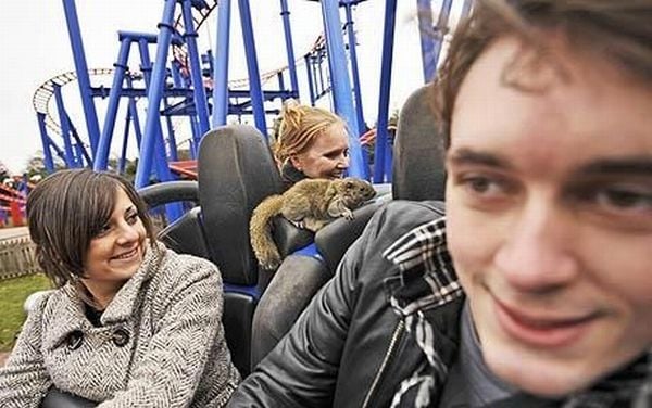 Daily picdump (92 pics)