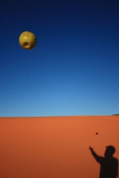 Daily picdump (134 pics)