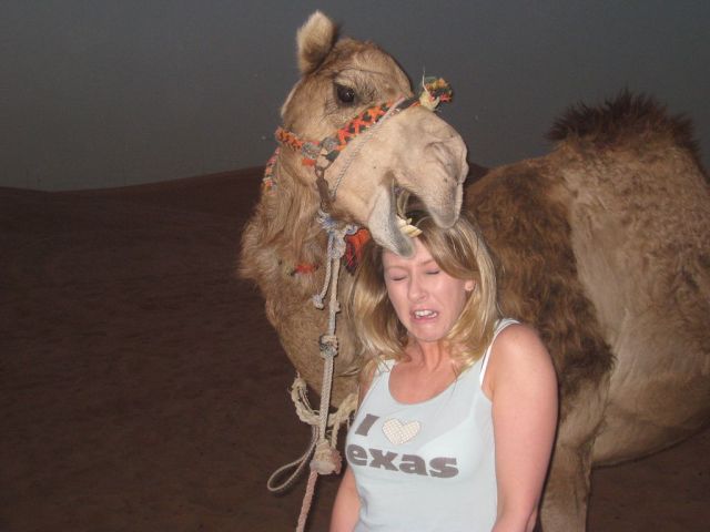 Daily picdump (134 pics)